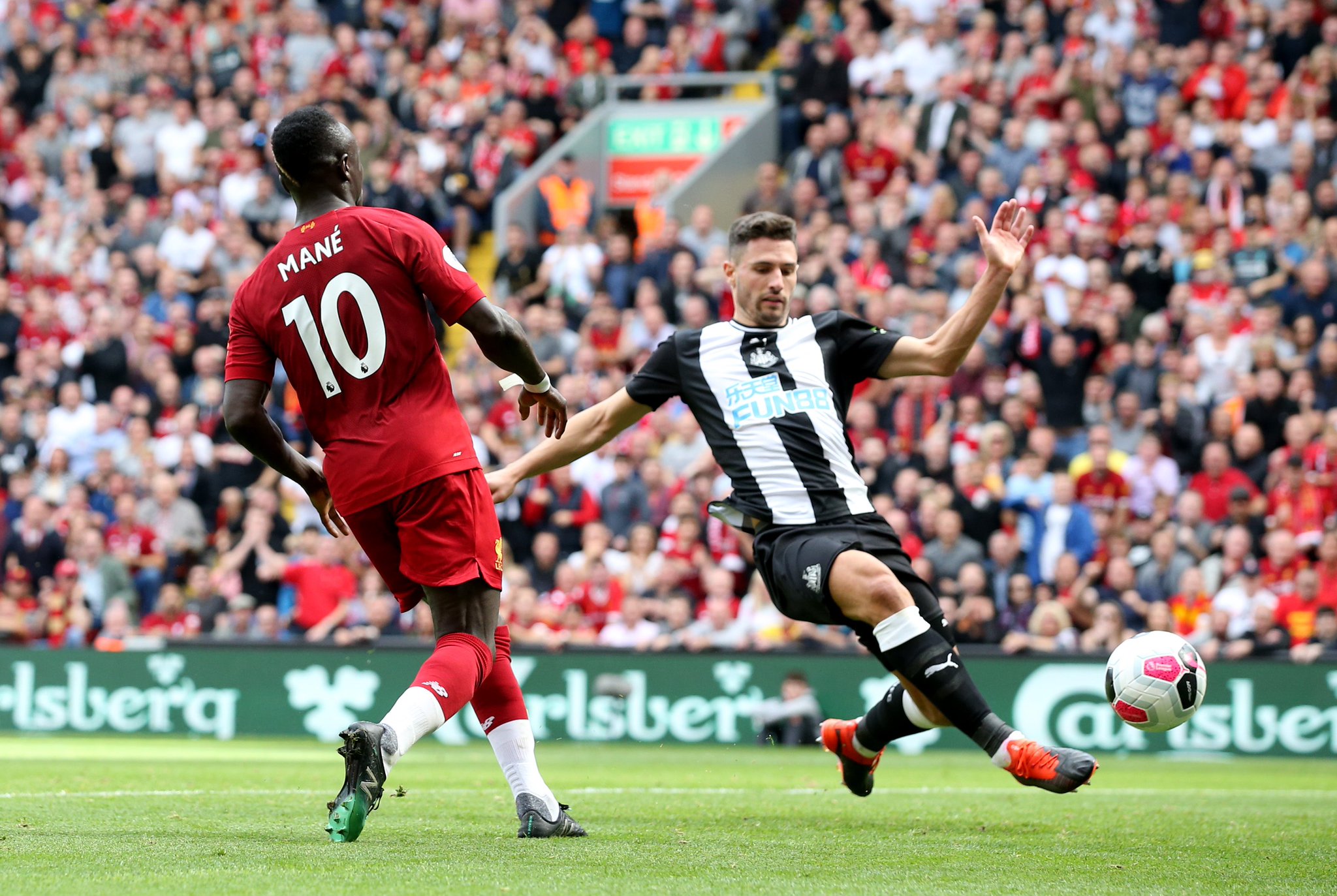 入了信心 入了信心