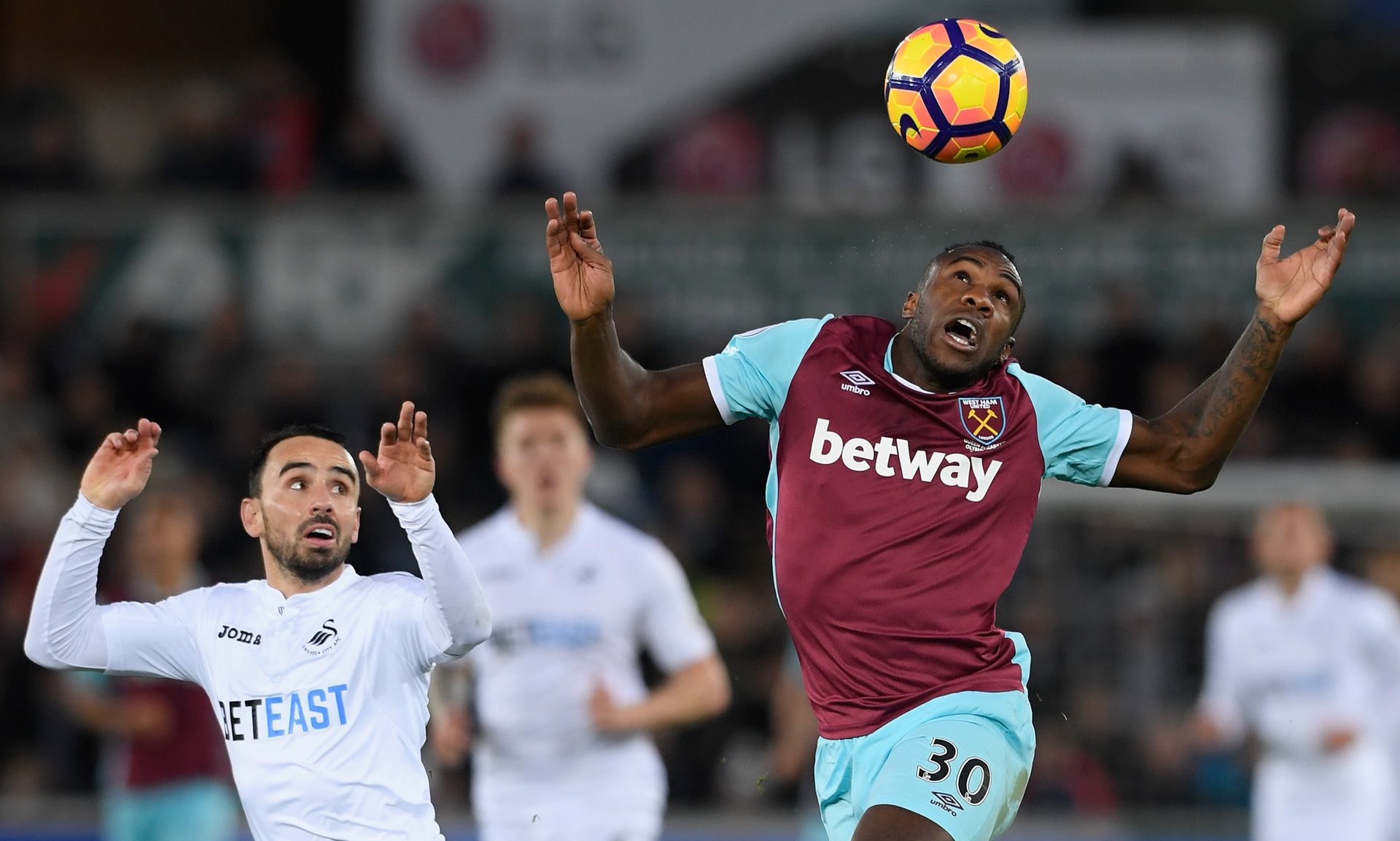 校对体育精 校对体育精